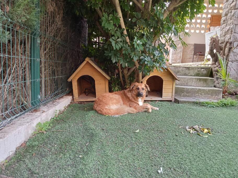 Adosado Al Lado Del Torreon Villa Benicàssim Exterior foto